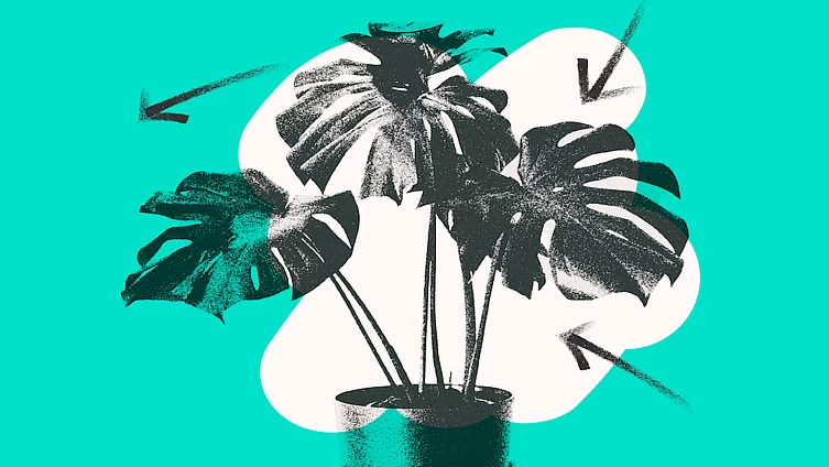 Futuro verde - Exploramos relatos, iniciativas e ideas sobre cambio climático, sustentabilidad y medio ambiente.