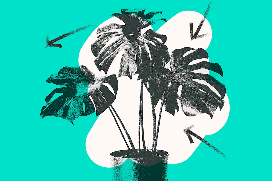 Futuro verde - Exploramos relatos, iniciativas e ideas sobre cambio climático, sustentabilidad y medio ambiente.