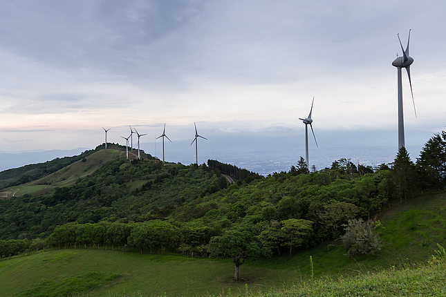 Proyecto Transformación Social-Ecológica