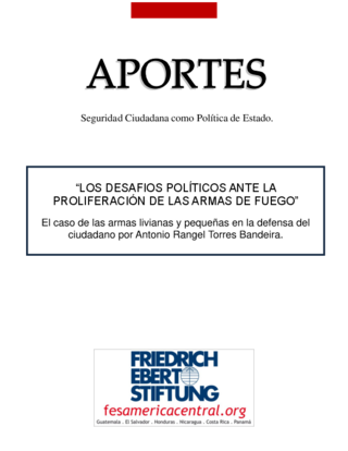 Los desafios políticos ante la proliferación de las armas de fuego