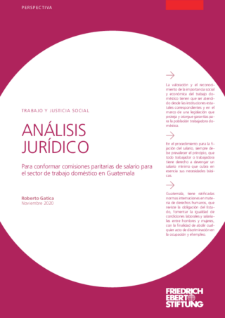 Análisis jurídico