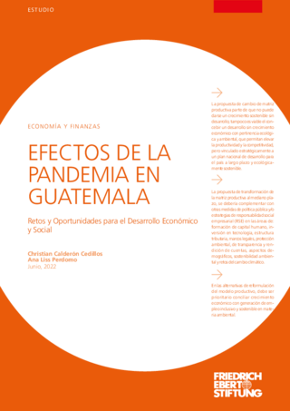 Efectos de la pandemia en Guatemala